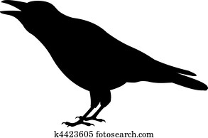 Raven vector Raven vector