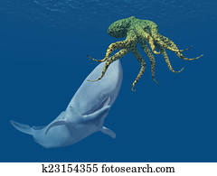 Sperm Whale attacks Octopus Sperm Whale attacks Octopus