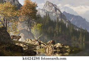 Wolf And The Rocky Mountains Wolf And The Rocky Mountains