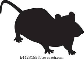 עכבר, וקטור