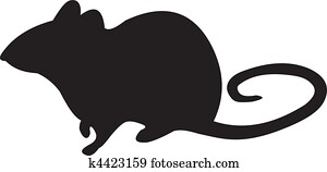 עכבר, וקטור