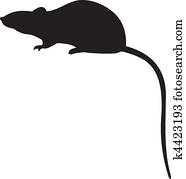 עכבר, וקטור