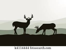 veado, silueta, em, a, selvagem