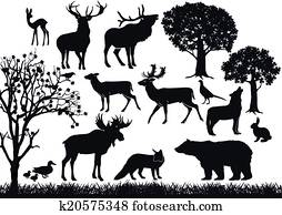 wald, und, natur wald, und, natur