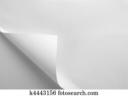 notebook office blank  paper with curl