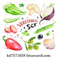 וואטארכולור, דוגמה, קבע, של, ירקות