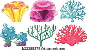 Different type of coral reef Different type of coral reef