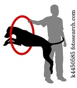 Dog training Dog training
