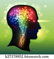Human Brain Color of Neurons Human Brain Color of Neurons