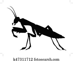 かまきり イラスト クリップアート 切り張り イラスト 絵画 集 K50267094 Fotosearch