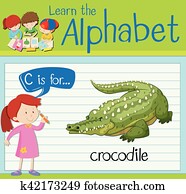 Flashcard, buchstabe c, gleichfalls, für, krokodil Flashcard, buchstabe c, gleichfalls, für, krokodil