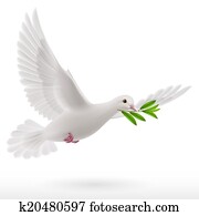 Fly dove Fly dove