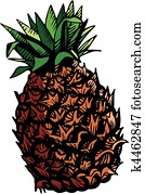 Fruits Fruits