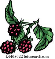Fruits Fruits