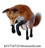 Red Fox Red Fox