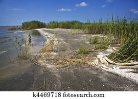 óleo, crescimento, &, acessórios, golfo, costa