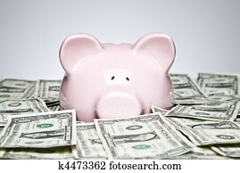 Dollar bills and piggy bank Dollar bills and piggy bank