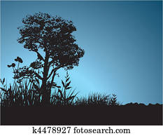 landscapes landscapes