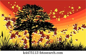 landscapes landscapes