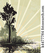 landscapes landscapes