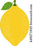 Lemon Lemon