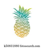 Pineapple modern illustration Pineapple modern illustration