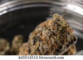 cannabis, brotos, (maui, gambá, strain), ligado, um, frasco vidro, -, médico, marijuana, conceito