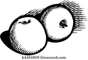 Fruits Fruits