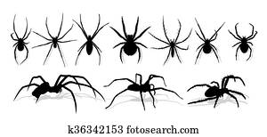 silueta, de, pretas, spider.