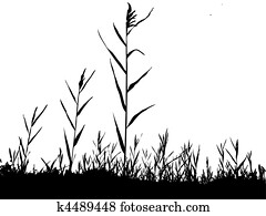 vector silhouette of the reed vector silhouette of the reed
