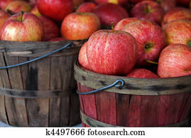 autumn apples autumn apples