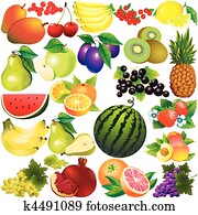 Fruits. Fruits.