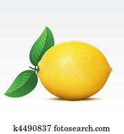 Lemon Lemon