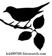silhouette of the bird on branch silhouette of the bird on branch