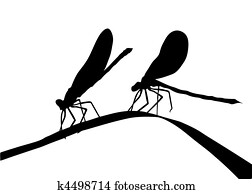 silhouette two dragonflies on herb silhouette two dragonflies on herb