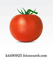 Tomato Tomato