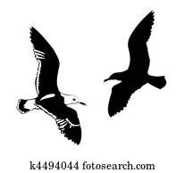 vector silhouettes flying birds on white background