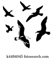 vector silhouettes flying birds on white background