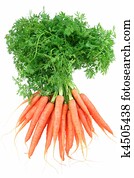 Baby Carrots Baby Carrots