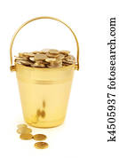 Bucket of Money