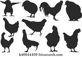 Chicken Silhouette vector illustration Chicken Silhouette vector illustration