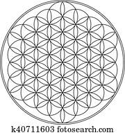 Flower of life Flower of life