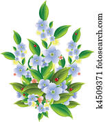flowers flowers