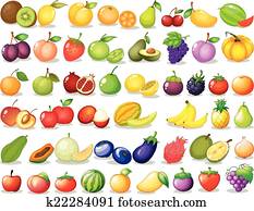 Fruit set Fruit set