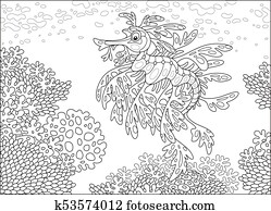 Leafy sea dragon on a coral reef Leafy sea dragon on a coral reef