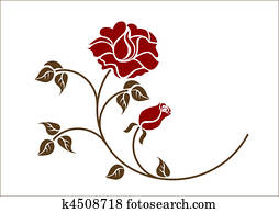 red roses on the white backgroud. red roses on the white backgroud.