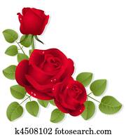 Roses Roses
