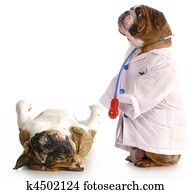 veterinary care