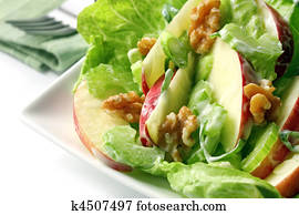 waldorf salat waldorf salat