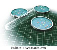 מעבדה, תרבויות